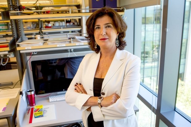 Maria Grazia Roncarolo (US)